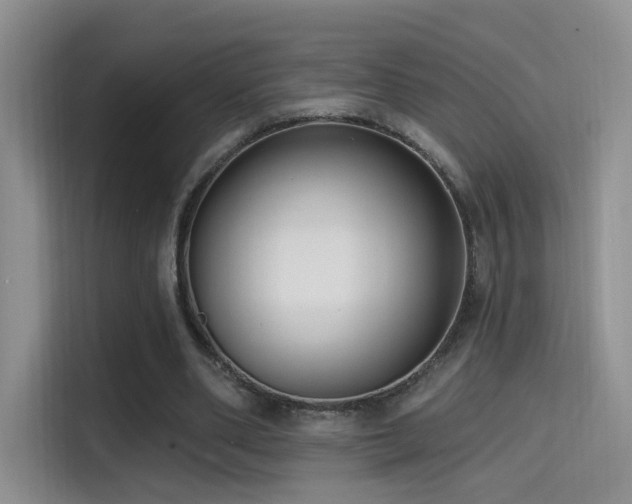 X0000114670486200910211153