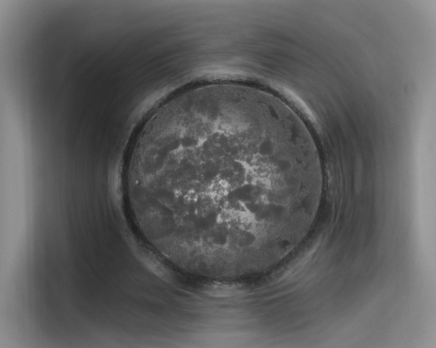 X0000114670487200910211153