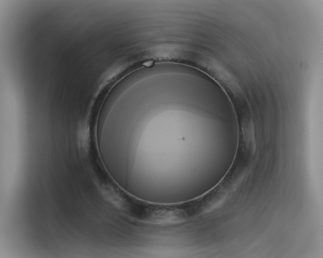 X0000114670488200910211153