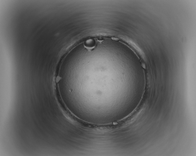 X0000114670489200910211153