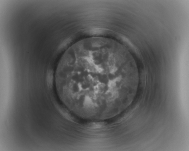 X0000114670495200910211153