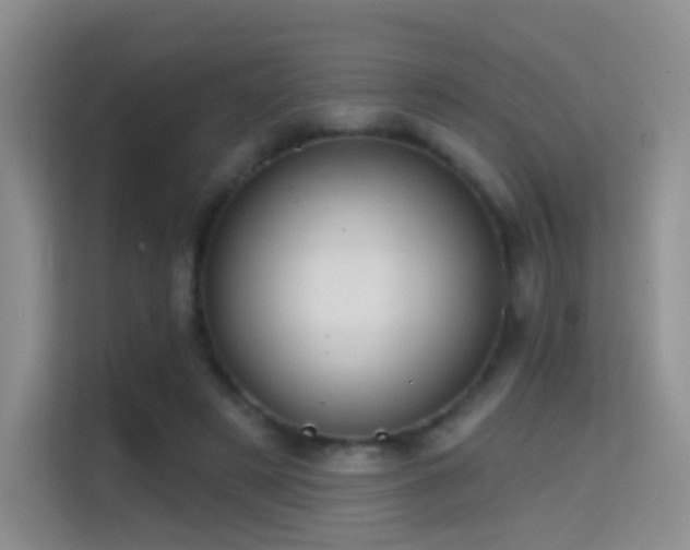 X0000114670497200910211153