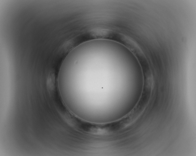 X0000114670498200910211153