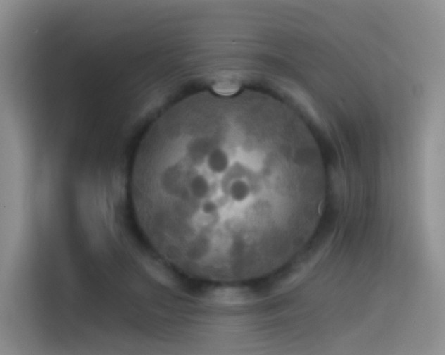 X0000114670499200910211153