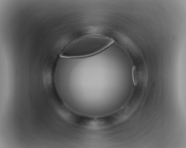 X0000114670504200910211153