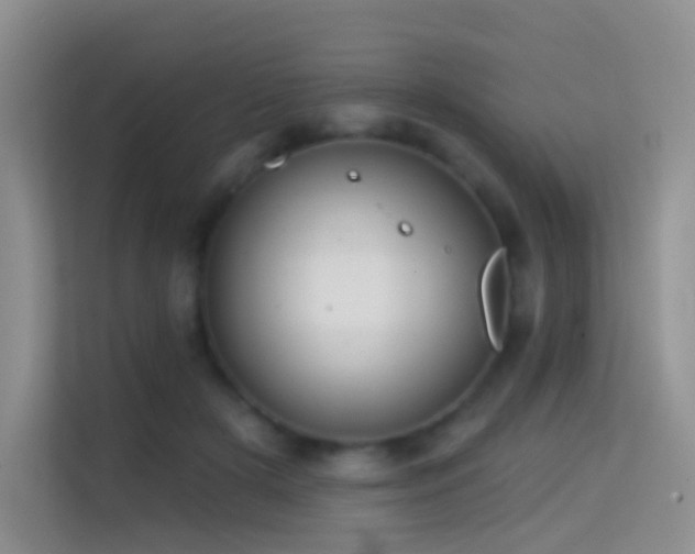 X0000114670505200910211153