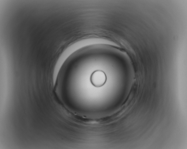 X0000114670509200910211153