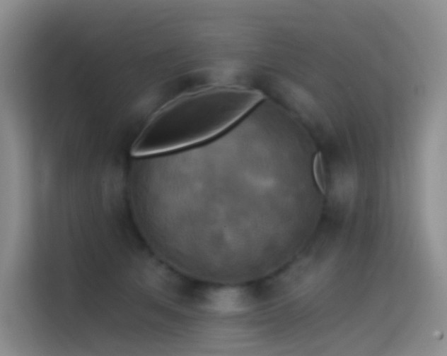 X0000114670513200910211153