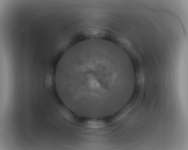 X0000114670515200910211153