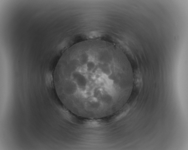 X0000114670523200910211153