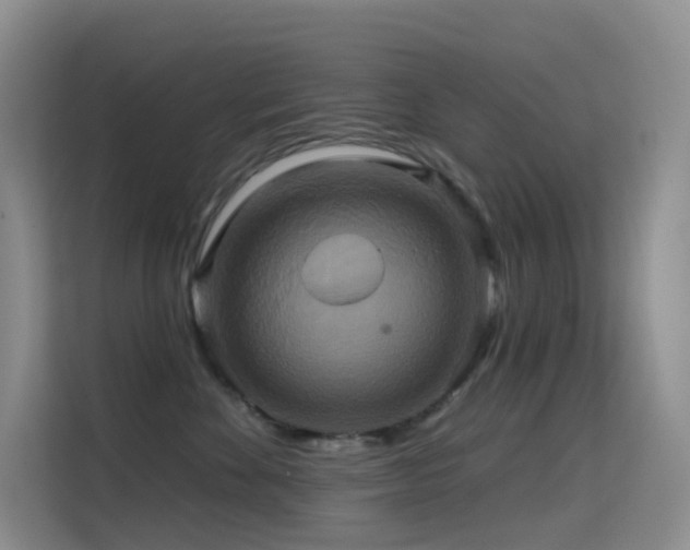 X0000114670524200910211153