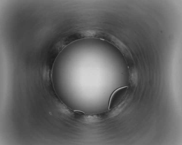 X0000114670525200910211153