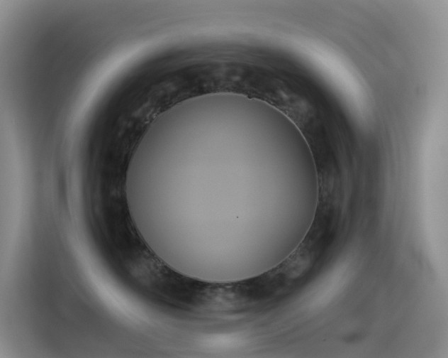 X0000114670526200910211153