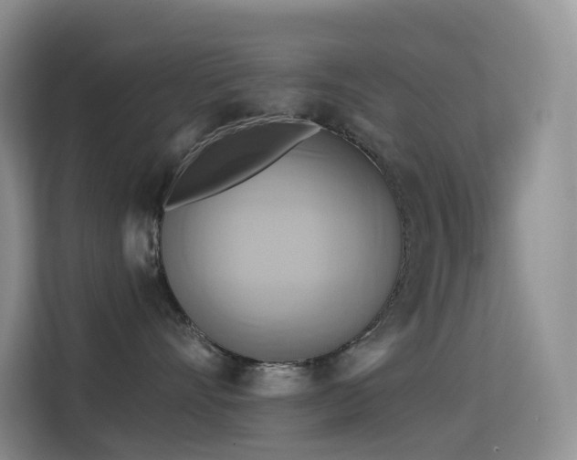 X0000114670528200910211153