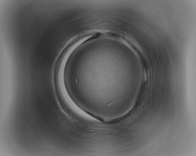 X0000114670534200910211152