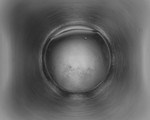 X0000114670535200910211152