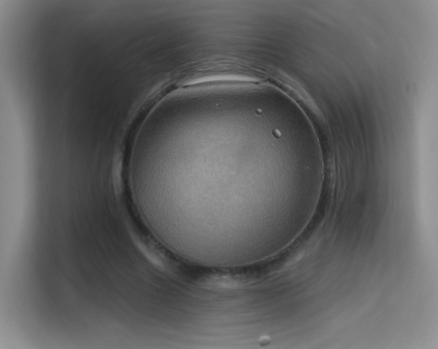 X0000114670538200910211152