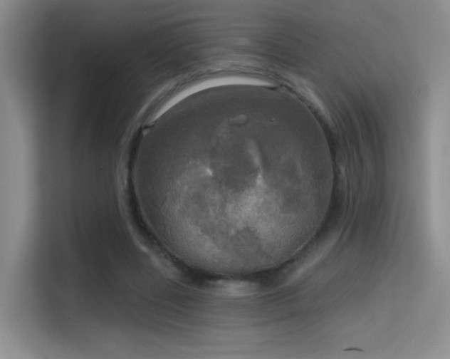 X0000114670539200910211152