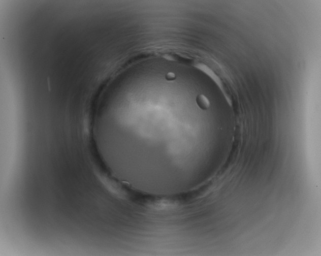 X0000114670546200910211152