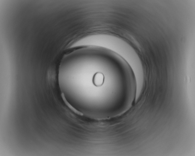 X0000114670549200910211152