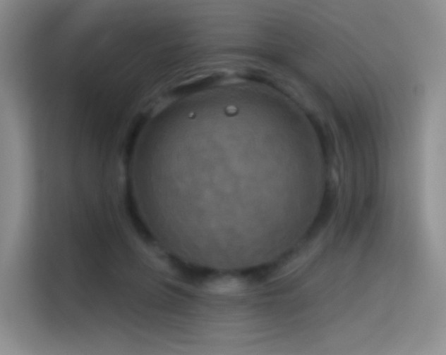 X0000114670551200910211152