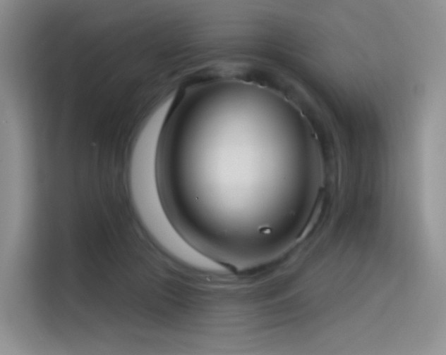 X0000114670553200910211152