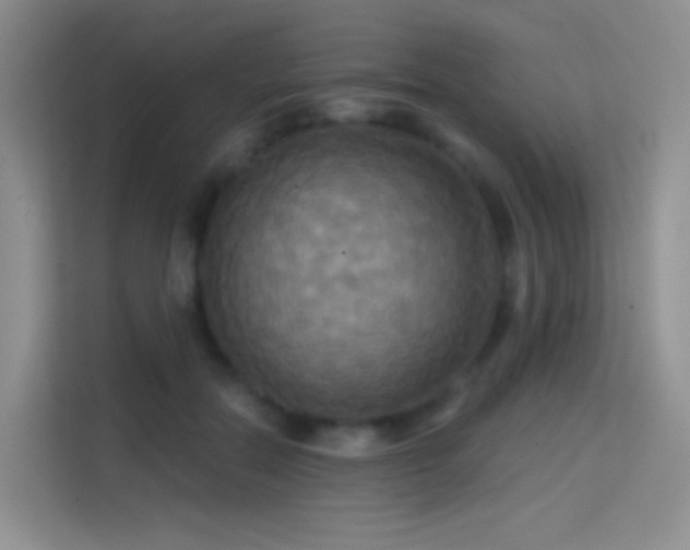 X0000114670554200910211152