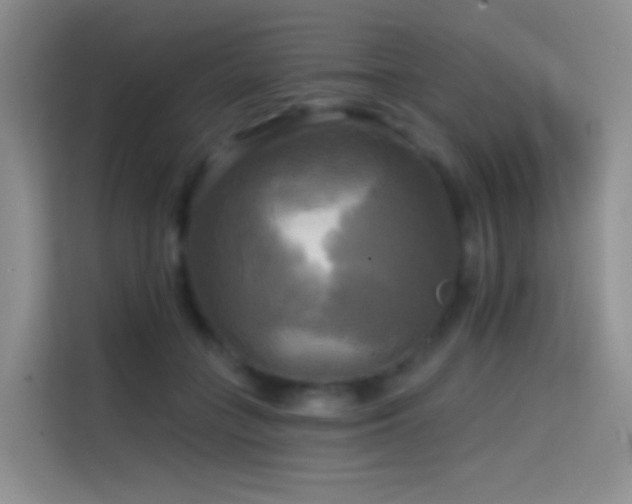 X0000114670555200910211152