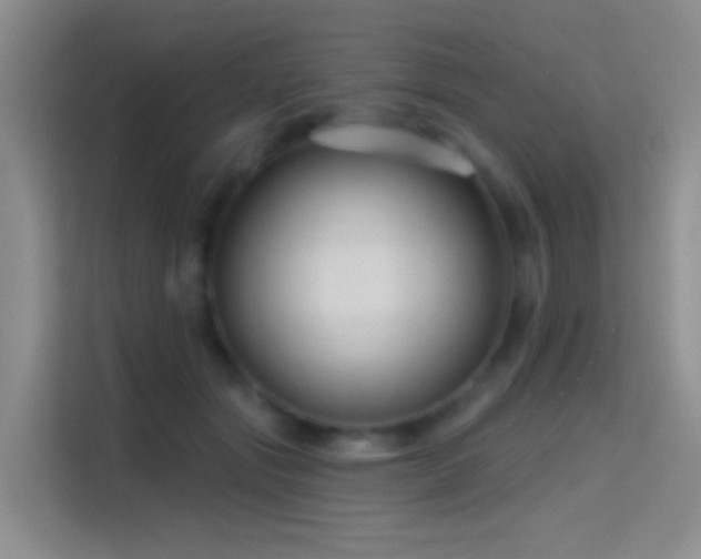 X0000114670557200910211152