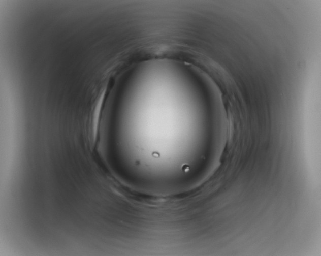 X0000114670558200910211152