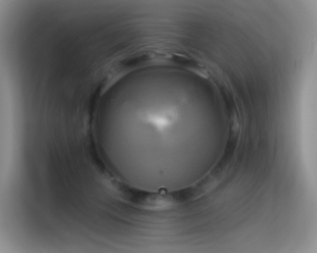 X0000114670559200910211152