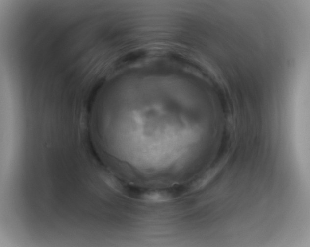 X0000114670561200910211152