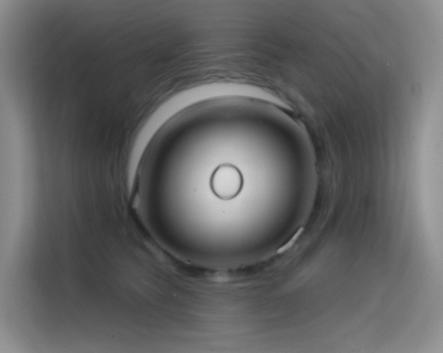 X0000114670565200910211152