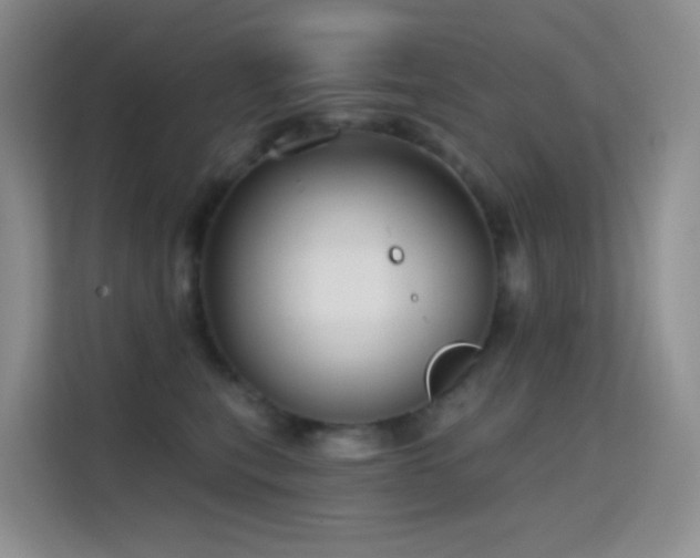 X0000114670567200910211152