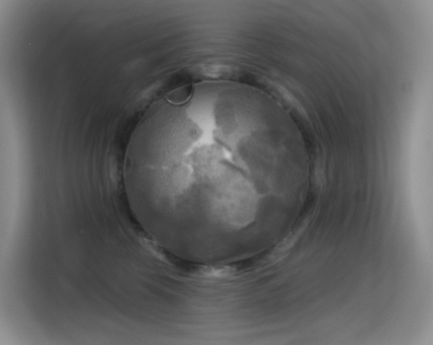 X0000114670569200910211152