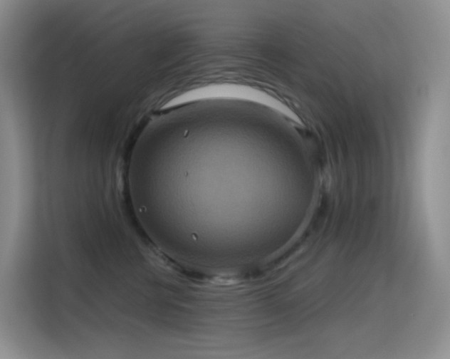 X0000114670570200910211152