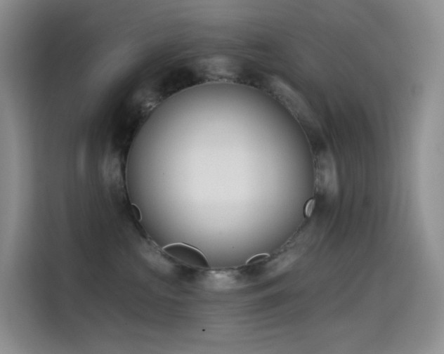 X0000114670573200910211153