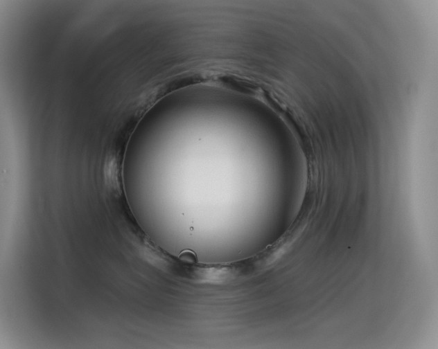 X0000114670575200910211153