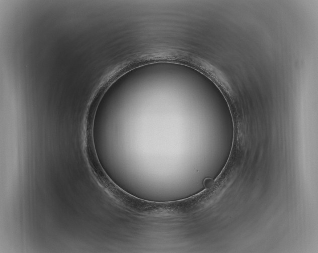 X0000114670578200910211152