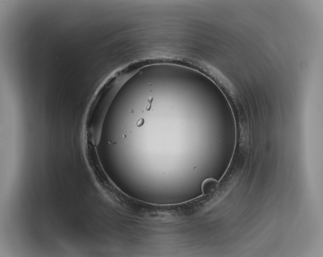 X0000114670580200910211152