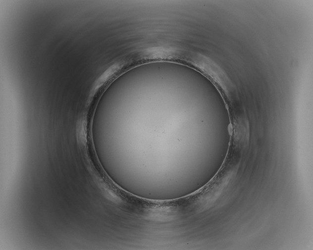 X0000114670581200910211152