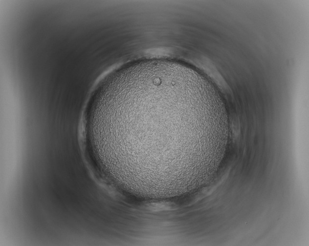 X0000114670583200910211152