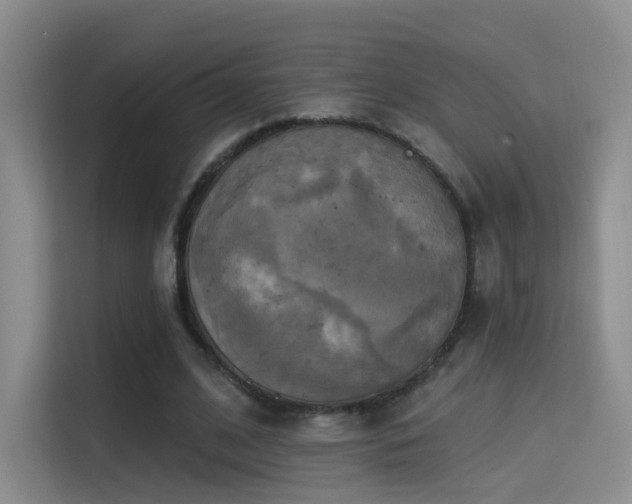 X0000114670584200910211152