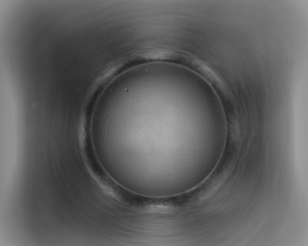 X0000114670586200910211152