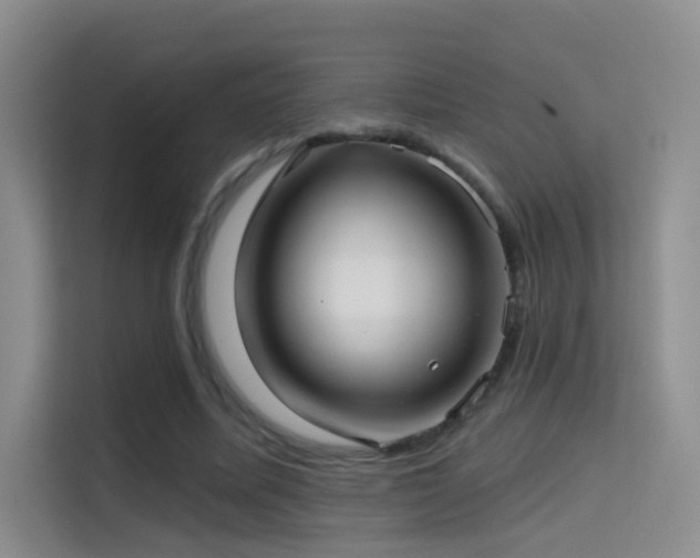 X0000114670587200910211152