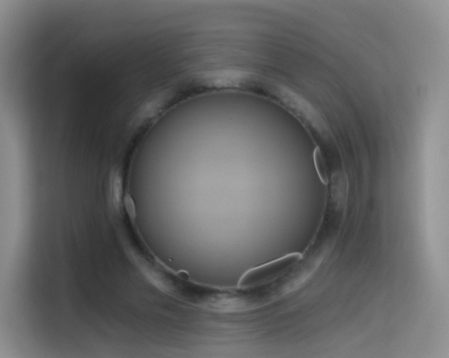 X0000114670589200910211152