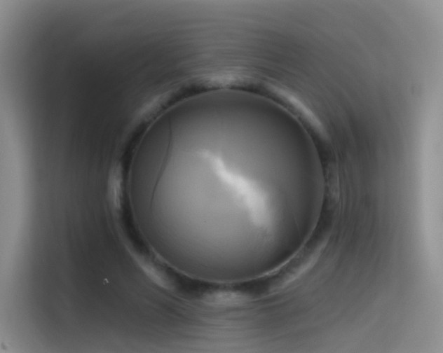 X0000114670590200910211152