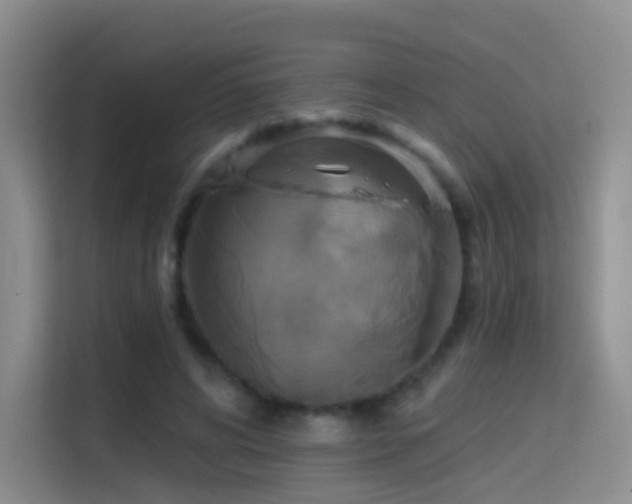 X0000114670592200910211152