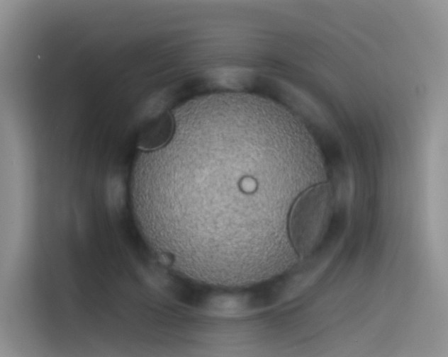 X0000114670595200910211152