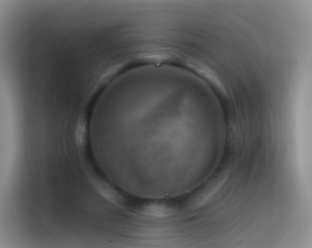 X0000114670596200910211152